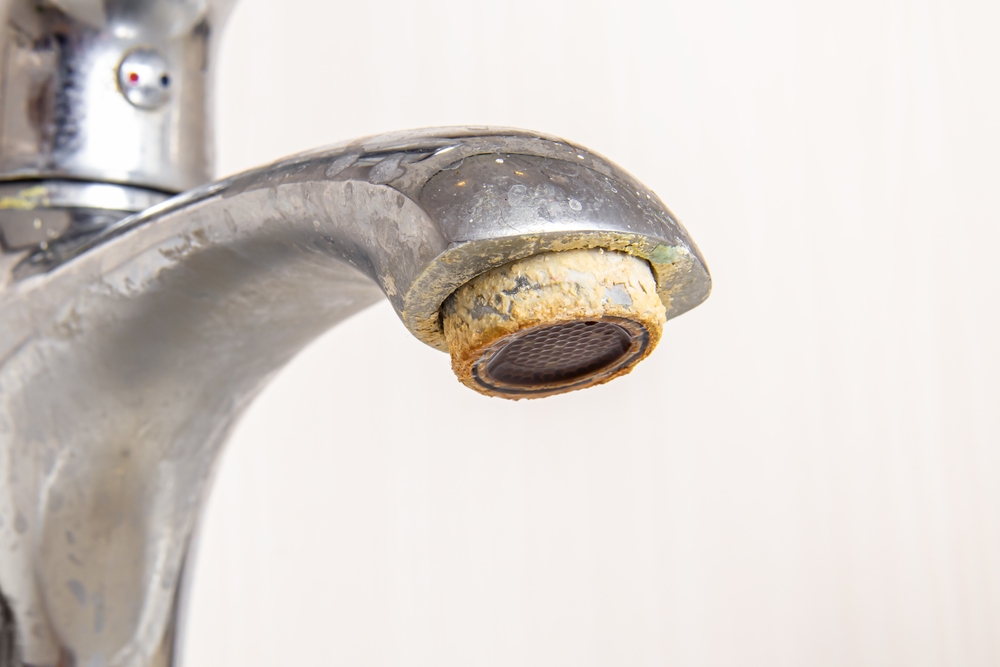 Hard Water in Harlem: Is Your Plumbing Paying the Price?