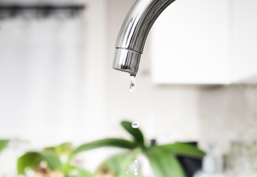 Plumbing Problems That Start Small: When to Call a Local Plumber Before Damage Spreads